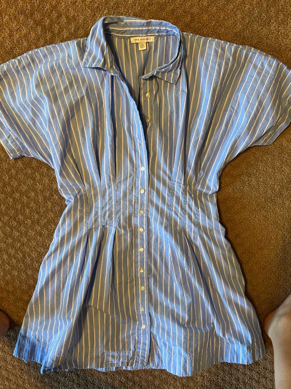 Blue and White Striped Button-Front Shirt Dress